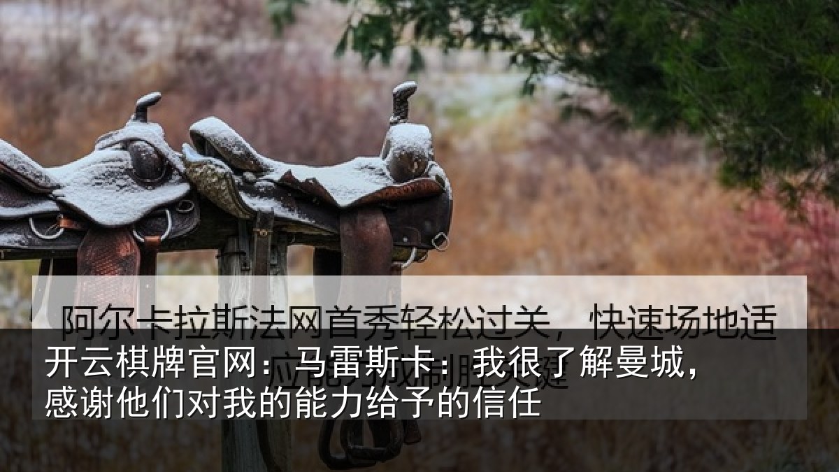 开云棋牌官网：马雷相关情况，感谢相关情况予的信任