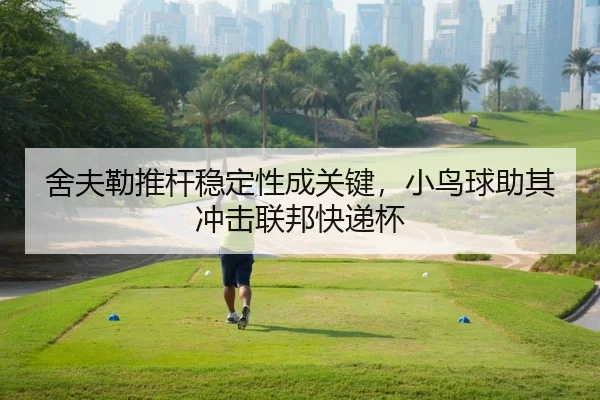 舍夫勒推杆稳定性成关键，小鸟球助其冲击联邦快递杯