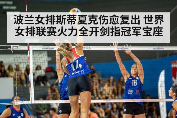 volleyball match action