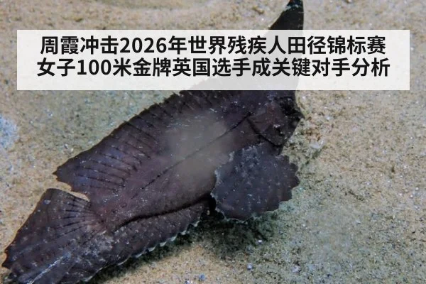 周霞冲击2026年世界残疾人田径锦标赛女子100米金牌英国选手成关键对手分析